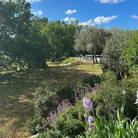 Les Terrasses De Saint-alban * Saint Alban Auriolles
